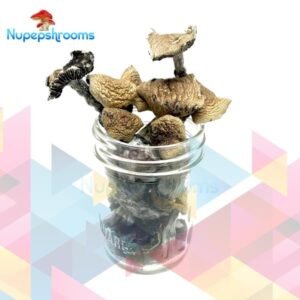 import placeholder for 50988