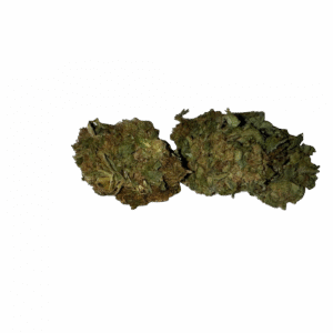 import placeholder for 149244
