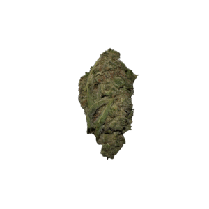 import placeholder for 149242