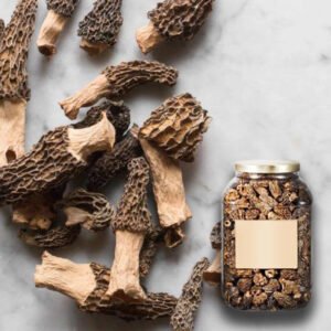 Dried Morels 400g - Jean D'Audignac