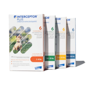 Interceptor Plus