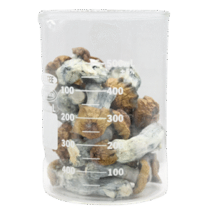 Bluetonium Magic Mushrooms