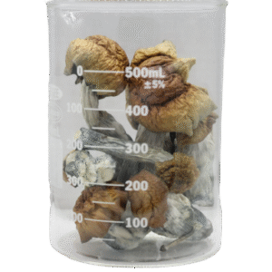 Blue Pulaski Magic Mushrooms