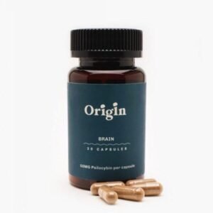 Brain Health Mushroom Capsules